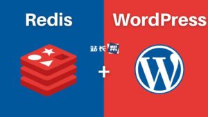 Object Cache Pro v1.21.1 – WordPress对象缓存插件