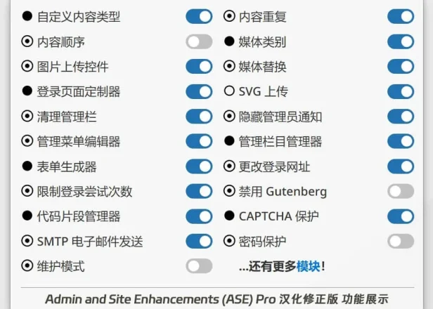 Admin and Site Enhancements (ASE) Pro 汉化版 – WP 增强工具箱
